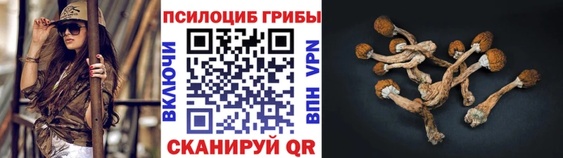 MEGA онион  Арск  Галлюциногенные грибы мухоморы 